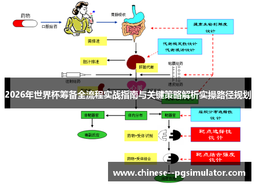 2026年世界杯筹备全流程实战指南与关键策略解析实操路径规划