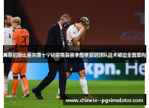 莫菲尼斯比赛突遭十字韧带撕裂赛季前景蒙阴球队战术被迫全面重构
