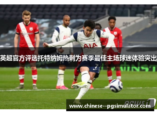 英超官方评选托特纳姆热刺为赛季最佳主场球迷体验突出